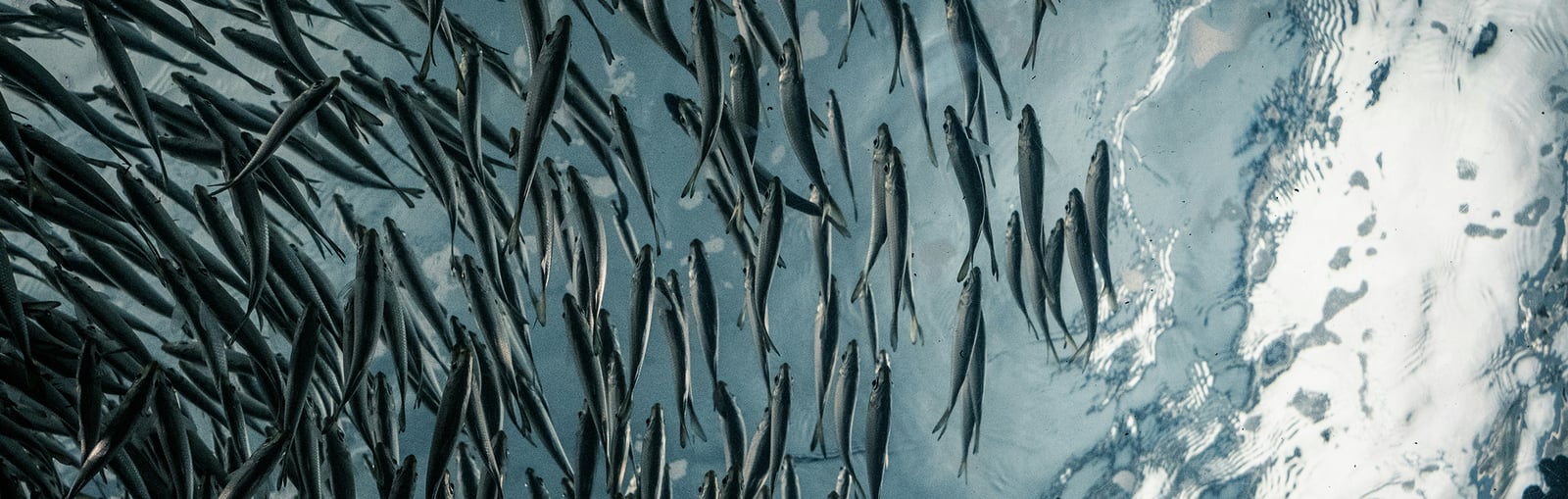 lance-anderson-G2SDLsJp3rg-unsplash