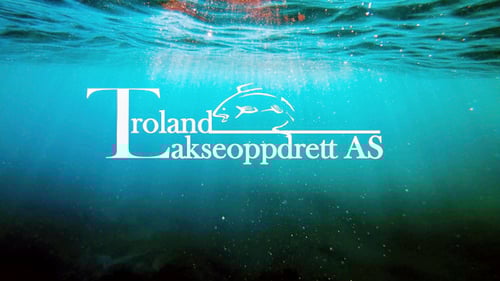 Troland-lakseoppdrett Troland-lakseoppdrett