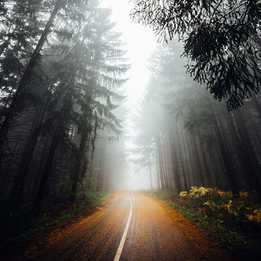 Nature22_466x466