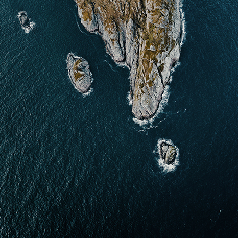 michiel-annaert-PtTxIlxDDBo-unsplash