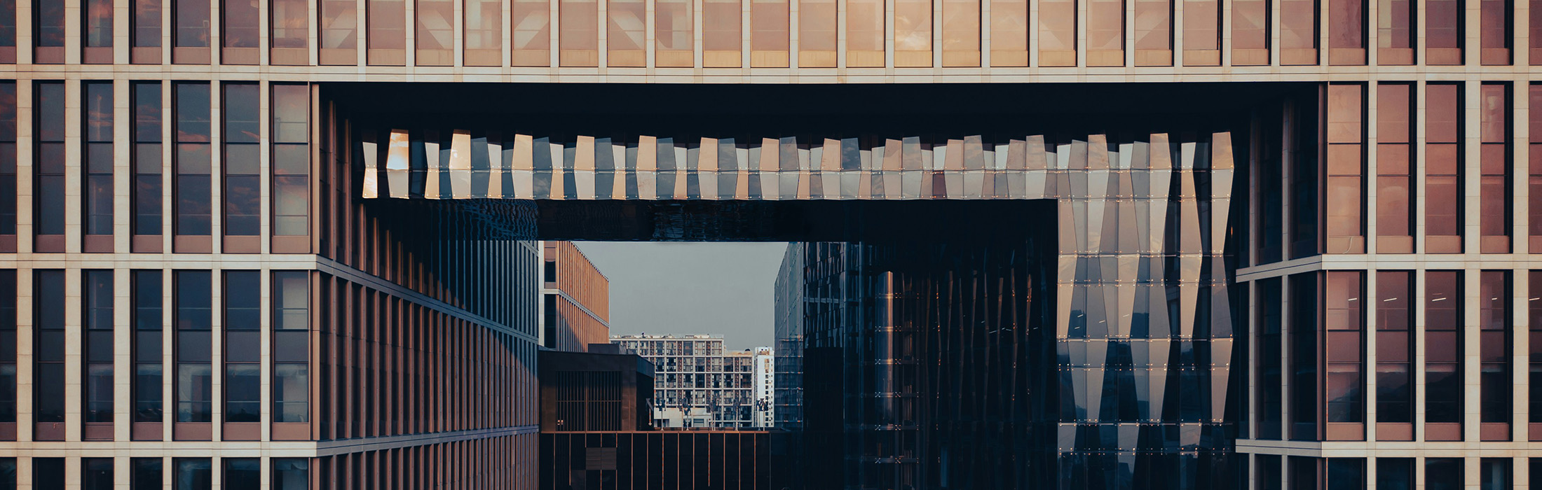 awmleer-tVIQLDcvFUw-unsplash