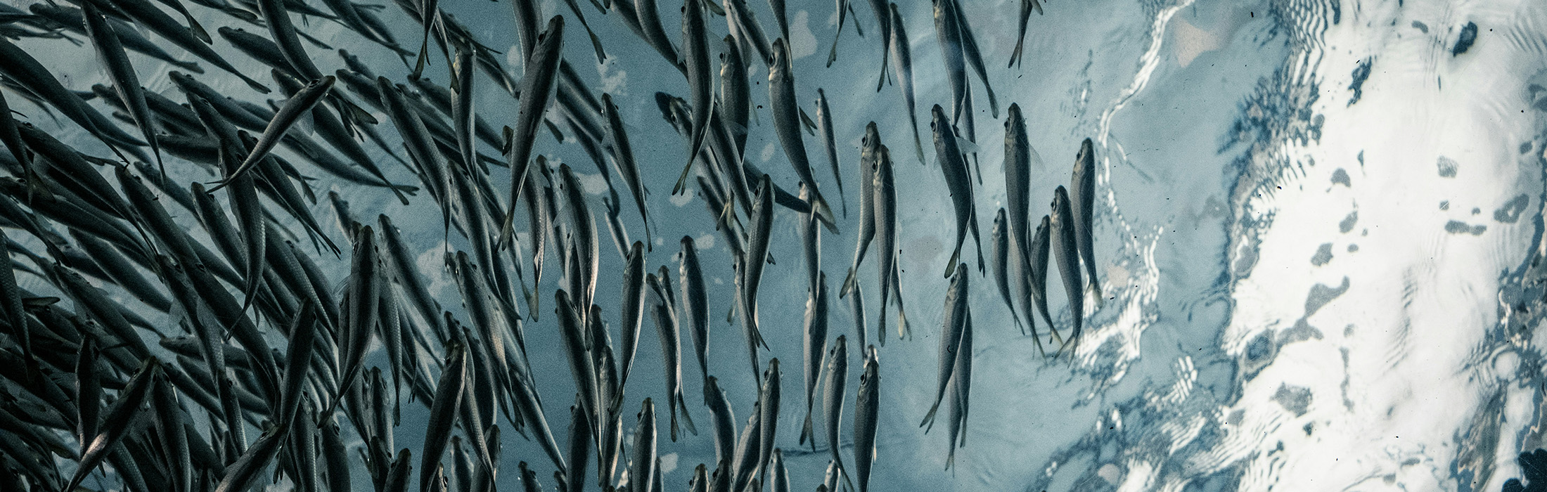 lance-anderson-G2SDLsJp3rg-unsplash